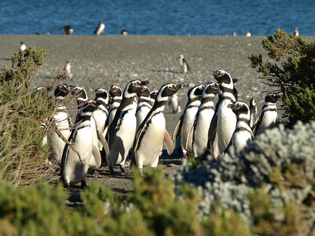 ../../Pictures/231209/073 Cabo Virgines.JPG